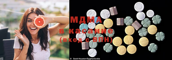 дживик Богородск