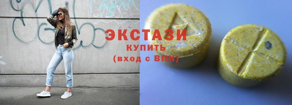 ECSTASY Богородицк