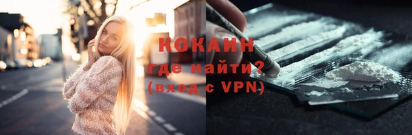 стафф Богданович