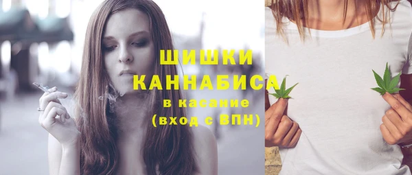 ECSTASY Богородицк