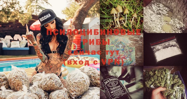 дживик Богородск