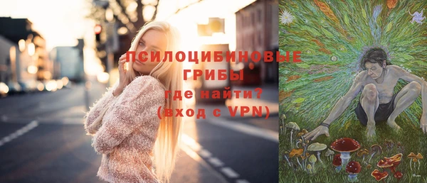 дживик Богородск