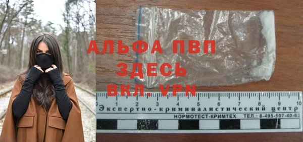 стафф Богданович