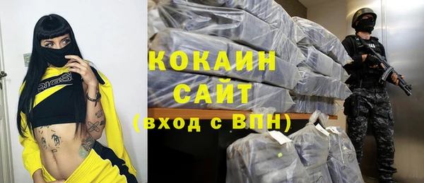 стафф Богданович
