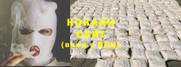 стафф Богданович